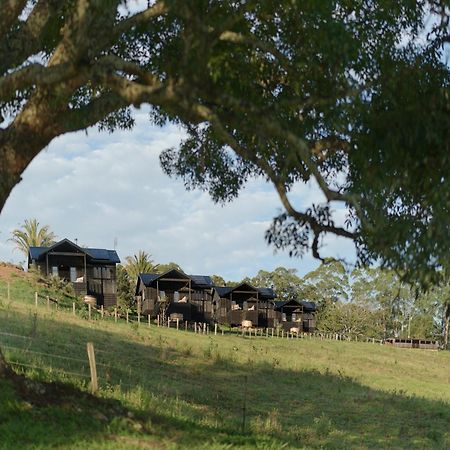 Black Cockatoo Coorabell Vila Exterior foto