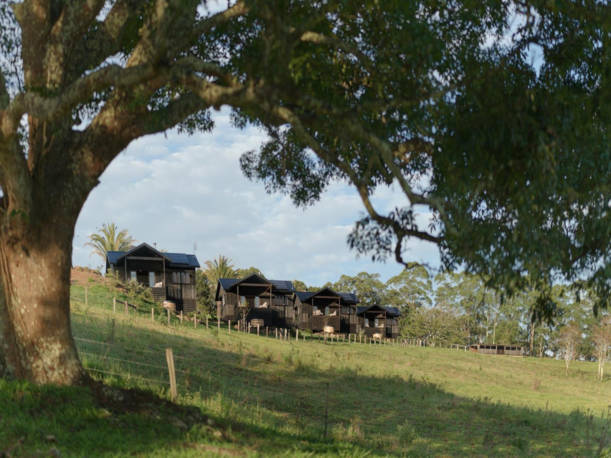 Black Cockatoo Coorabell Vila Exterior foto